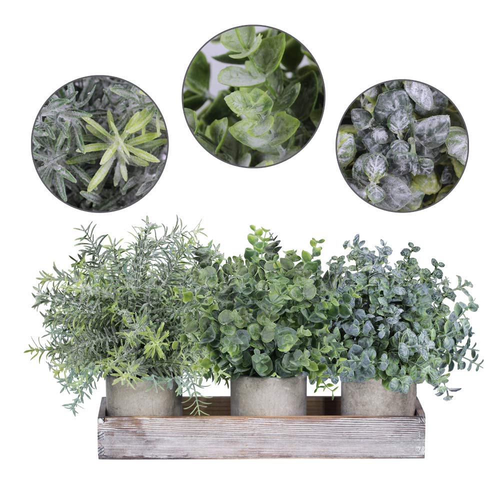 Winlyn Set of 3 Mini Potted Artificial Eucalyptus Plants Faux Rosemary Plant Assortment with Wood Planter Box for Indoor Office Desk Apartment Wedding Tabletop Greenery Decorations 8.7" Tall