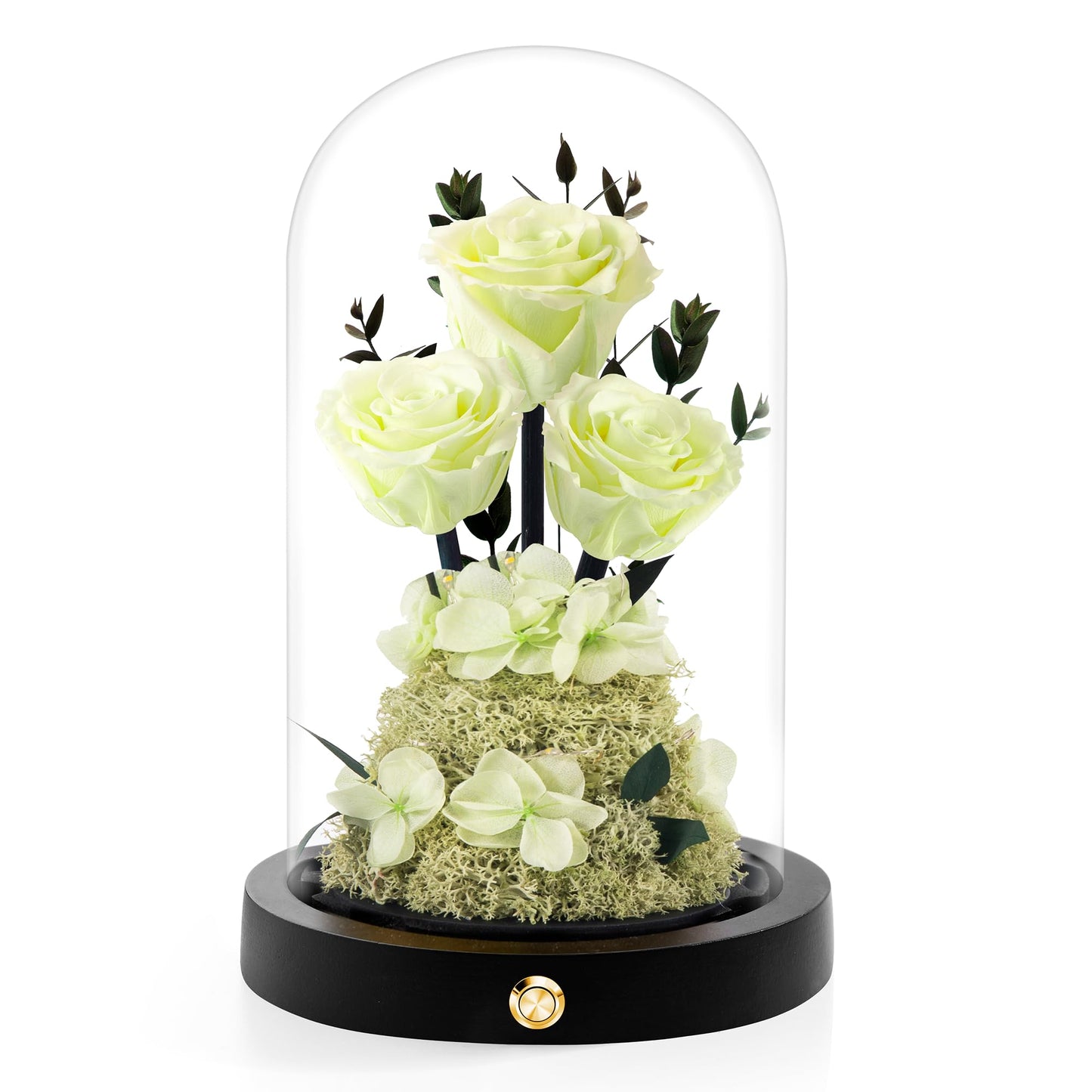 Valentines Day Flowers Roses Gifts for Her,Forever Real Preserved Roses in Glass Dome,Valentines Day Anniversary Birthday Gifts for Wife Girlfriend Women Mom Best Friend Her/Purple Rose