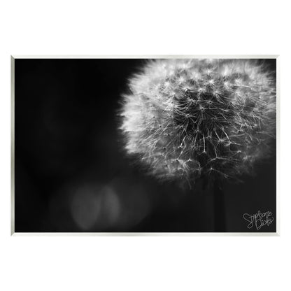 Stupell Industries Modern Black Dandelion Photography Wall Plaque Art, Design by Stephanie Dicks