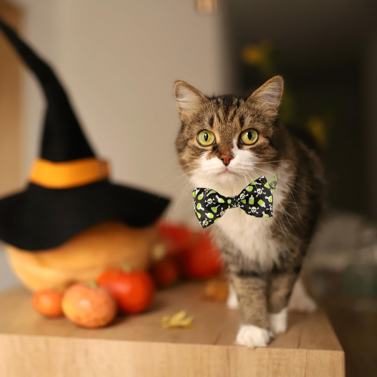 2 Pack Halloween Cat Collar with Bell, Holiday Kitty Kitten Skull and White Ghost Patterns for Boys Girls Males Female Cats