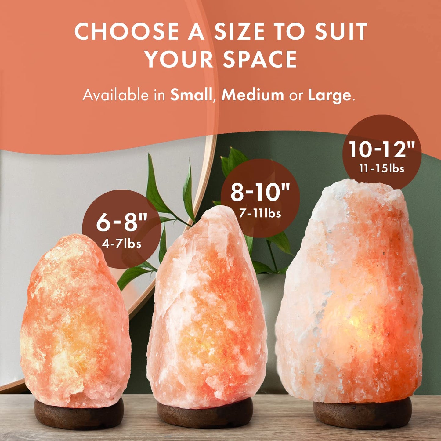 The Body Source Himalayan Salt Lamp | 8-10 in (7-11 lb) | Natural Salt Rock Lamp with Dimmer Switch & Wooden Base | Night Light & Bulb Replacement