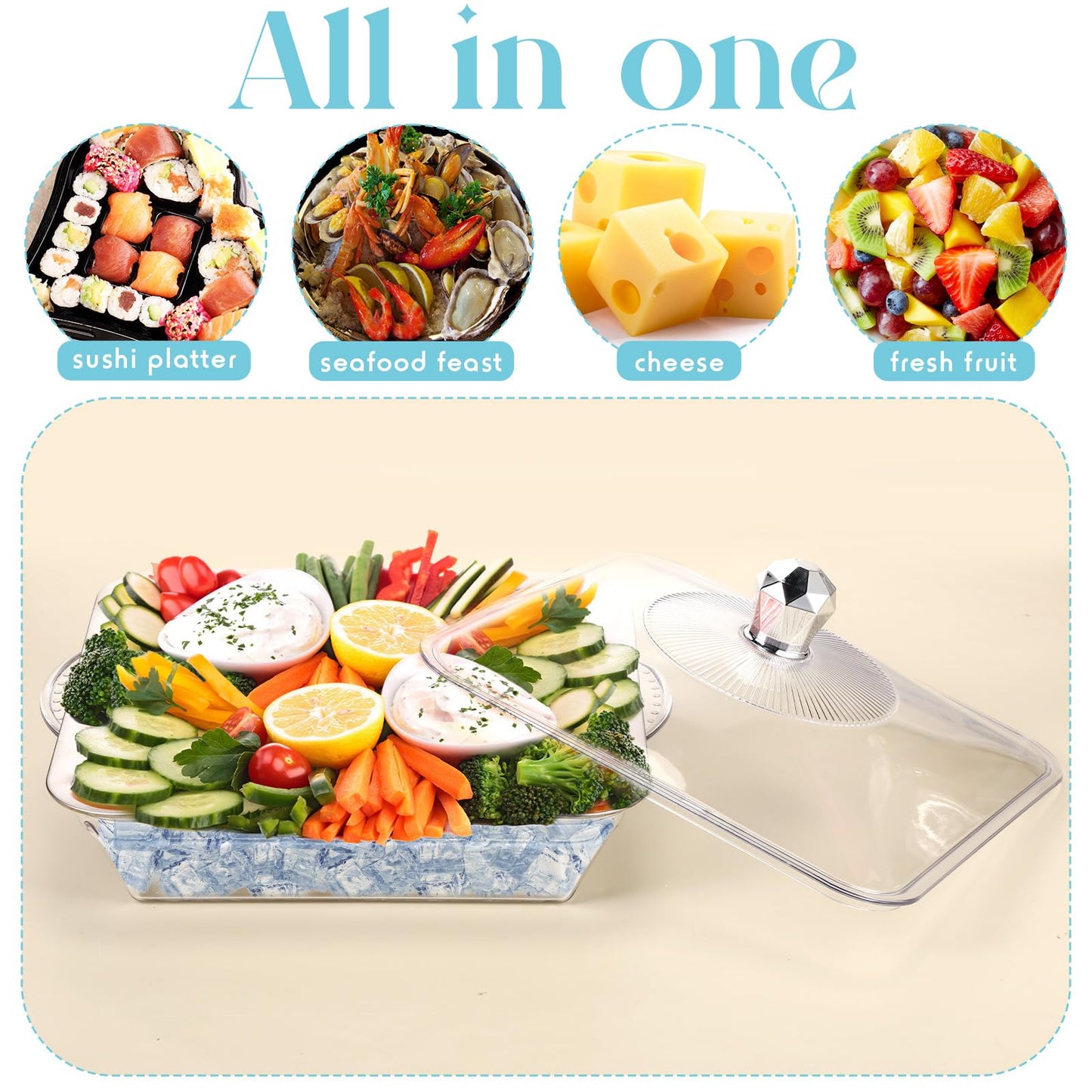 Baderke 1 Set 9" Chilled Serving Tray for Parties with Compartments Ice Chilled Party Platter with Lid Tableware Charcuterie Serving Board for Fresh Food Fruit Seafood Vegetable Appetizer(Silver)