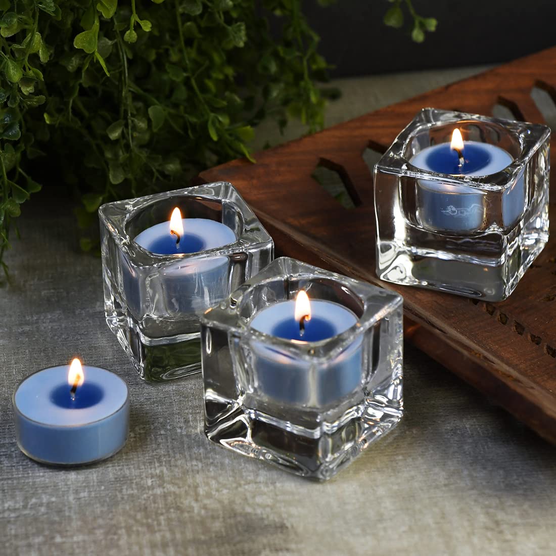 DEYBBY Ocean Breeze Scented Tealight Candles Bulk, Aromatherapy Soy Wax Tea Candle Set of 24-4 Hour Burning Great Gift