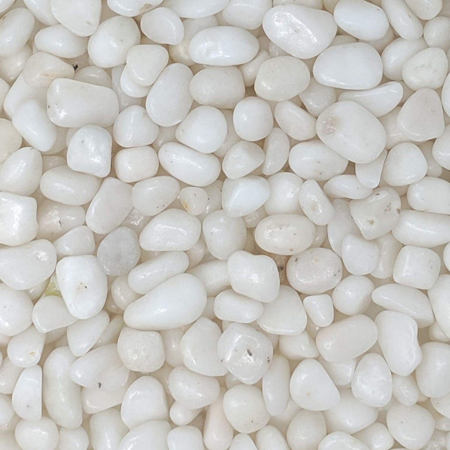 Midwest Hearth Decorative White Pebbles for Plants & Vase Filler | Polished Natural Stones | 3/8" Size (2-lb Bag)