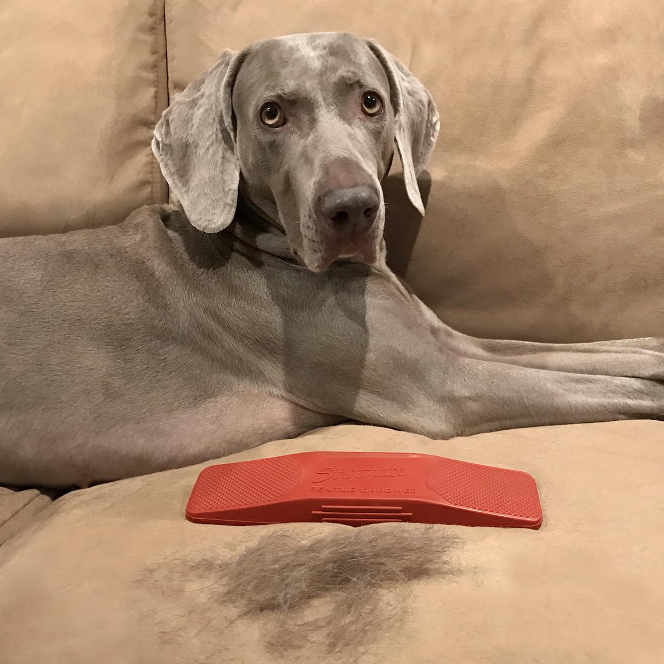 StripHair Sensitive Gentle Groomer