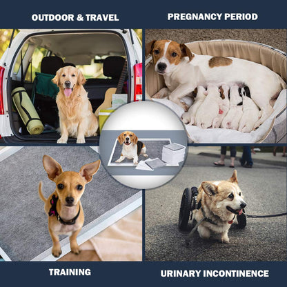 Dono Pet Training Pads Carbon Puppy Pee Wee Toilet Trainer Pads Super Absorbent Deodorizing Heavy Duty Dog Pads 25PCS