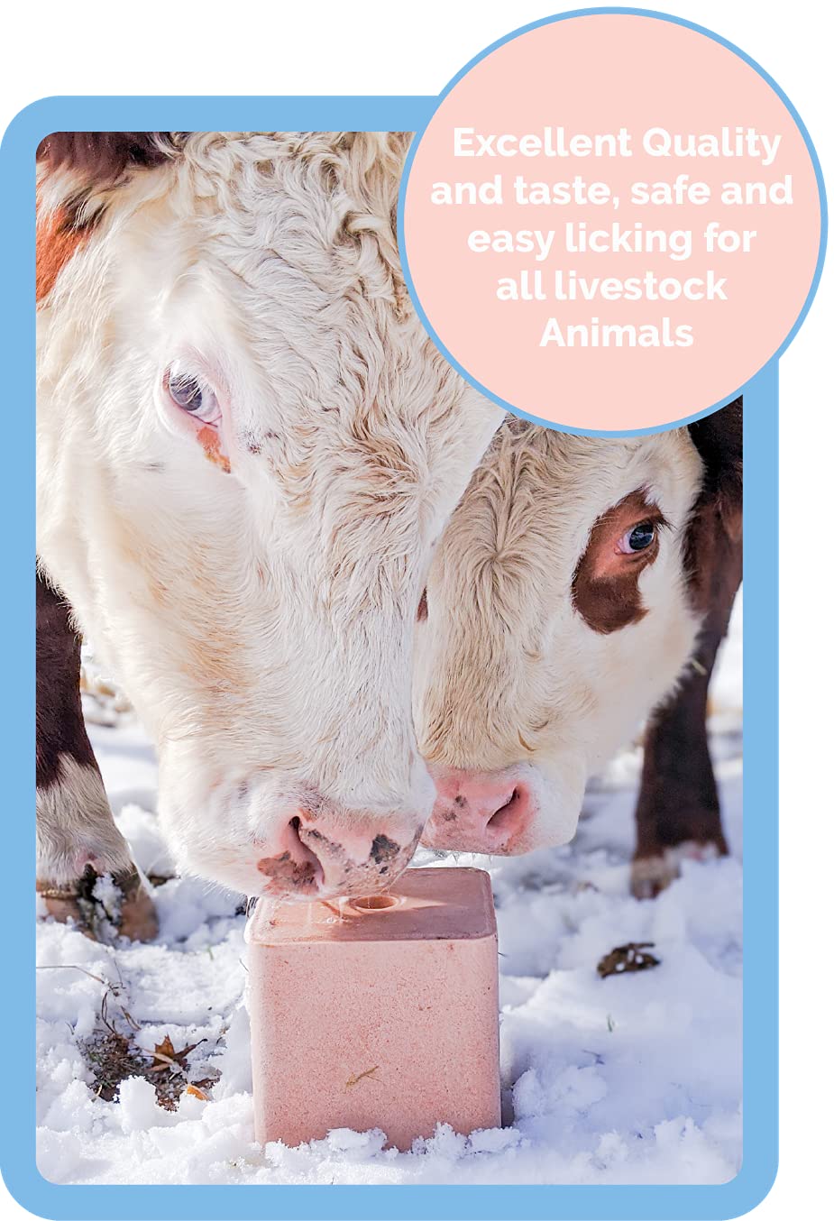 Salt Block for Deer & Horses – Compressed Mineral Salt Lick for Livestock, Cattle & Goats – Himalayan Secrets Pink Rock Salt Block (22LB/10KG, Block w/ Mounting Hole)