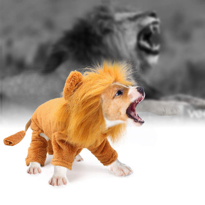 Rypet Dog Lion Costume Pet Clothes for Halloween Party Simulation Lion Pets Outfits Cosplay Dress up Clothes Pet Lions Hoodie Cat Costume for Party