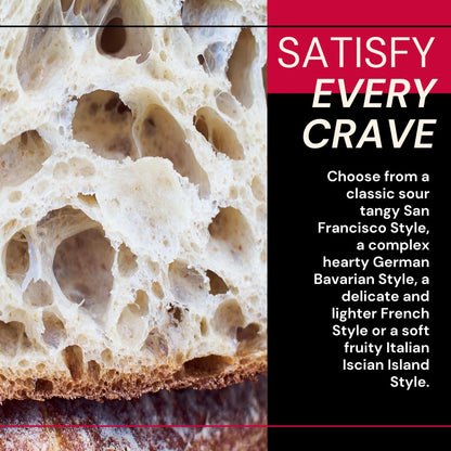 4 Pack Sourdough Starter Variety Pack - Dehydrated Sour Dough Starters San Francisco, German, Italian, French - Essential Sourdough Bread Baking Supplies Kit - Birthday Gift Idea for Women Bakers & Homesteaders