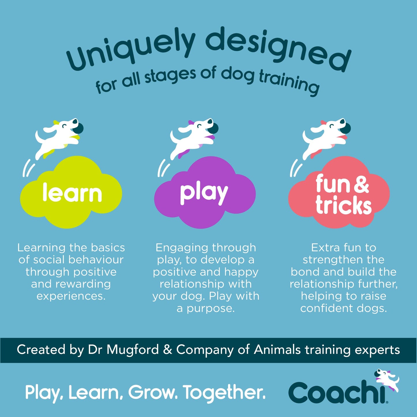 Coachi Tuggi Spider - Interactive Dog Toy for Tug of War & Play. Strong & Comfortable, Stretchy Bungee Handle, Reward Training, Interrupting Biting & Chewing. Ideal for Agility & Suitable for Puppies