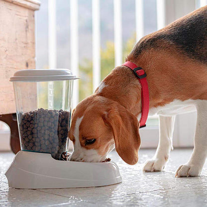 Ferplast Dry food dispenser for dogs and cats 3 Liter ZENITH Practical pet feeder food dispenser biscuits for animals, Transparent tank with lid, Non-slip bottom, 20,2 x 29,2 x h 28,8 cm White