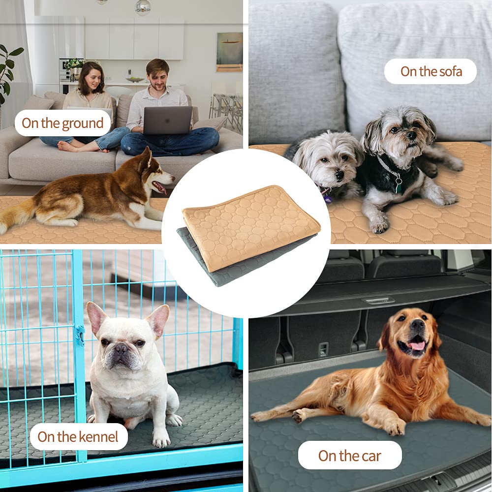 EASTLION Washable Dog Mat,Non-Slip Reusable Puppy Pads for Dogs,Super Absorbent Waterproof Dog Mat Pee Pads for Dogs for Indoor Outdoor Car Travel for Dogs,Cats(39.3x27.5 inch 1 PCS) L-Grey