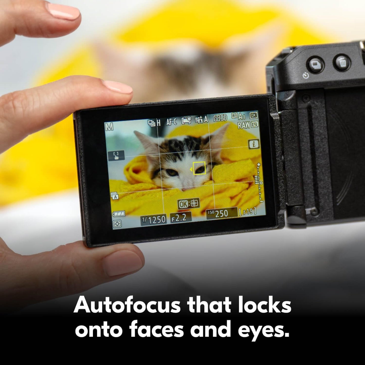 Nikon Z 30 with Two Lenses | Our most compact, lightweight mirrorless stills/video camera with wide-angle and telephoto zoom lenses | Nikon USA Model