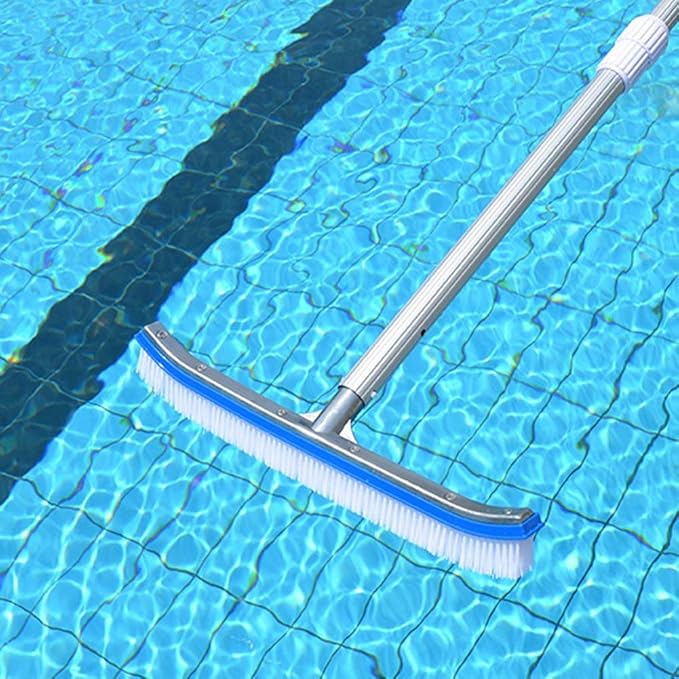 Swimming Pool Wall & Tile Brush, Tiles & Floors, Nylon Bristles Brush Head