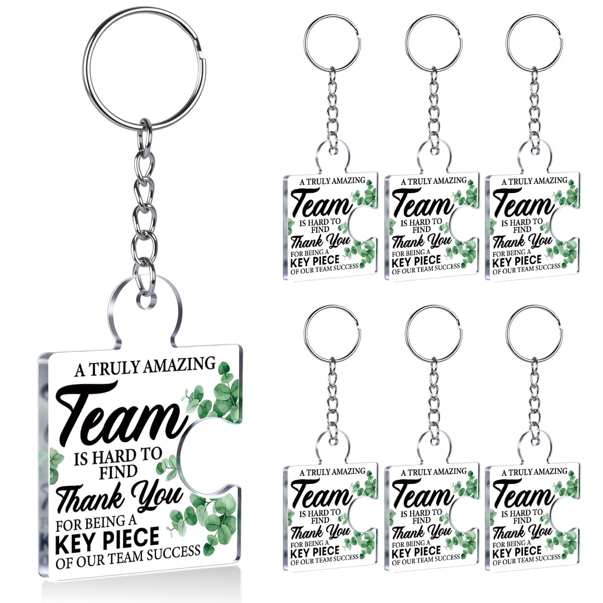 DRMNPKT Set of 6 Team Thank You Appreciation Gifts Bulk for Coworkers Employees Staff Teachers Colleagues Coach, Best Team Ever Gifts Inspirational Teamwork Acrylic Puzzle Piece Keychains, Multicolor