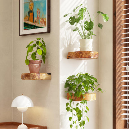 WELLAND Natural Edge Cedar Wood Show Case Display Shelves, Wood Floating Shelf, Set of 3, 6 x 6 x 1.6 inches - Rustic Wooden Floating Wall Shelves for Home Decor, Plants, Photos, and Collectibles