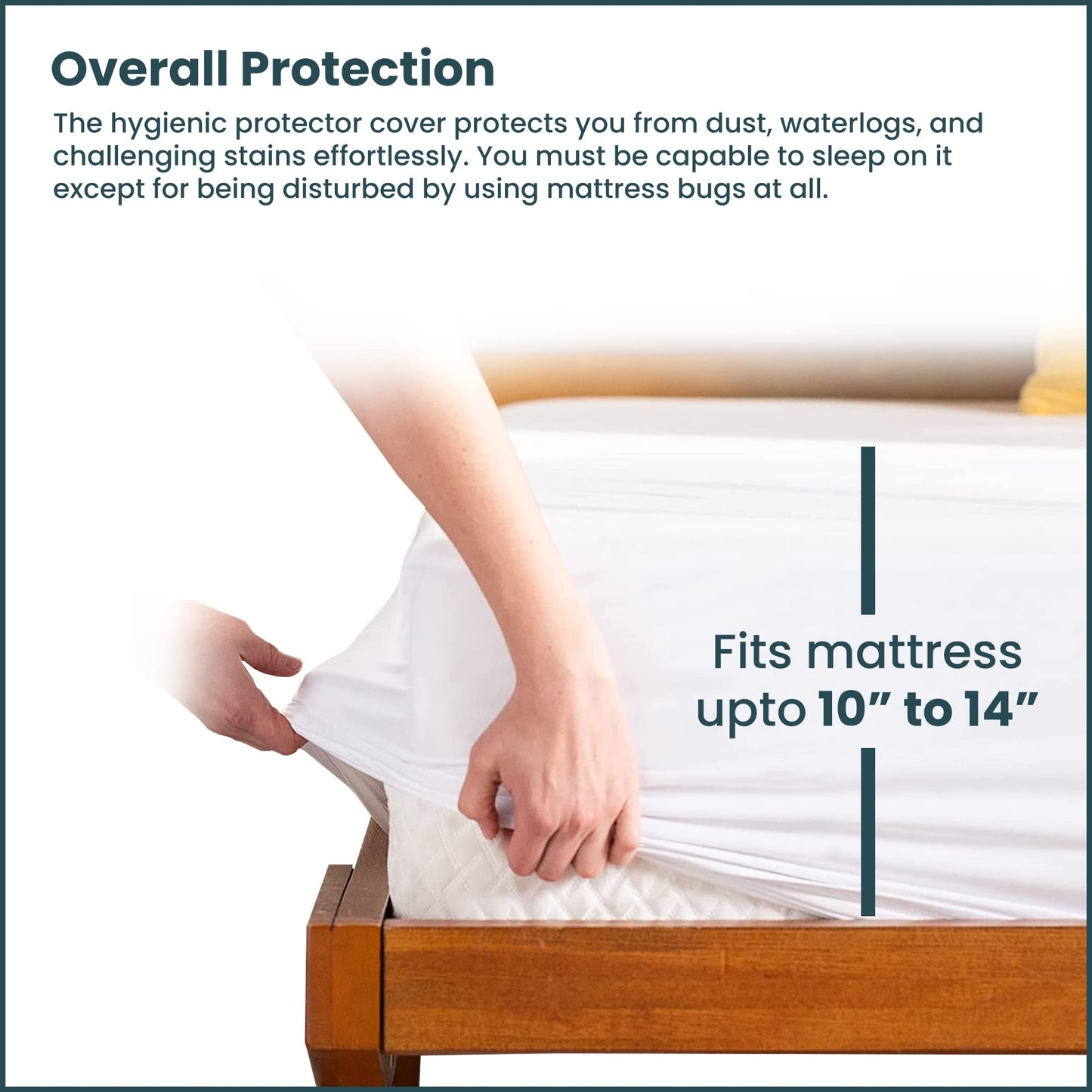 Spinal Sleep, Ultra Soft-Premium Zippered Mattress Protector Cover, Water Proof, Breathable and noiseless, Fits Mattress 10 to 14-Inch, Queen, White