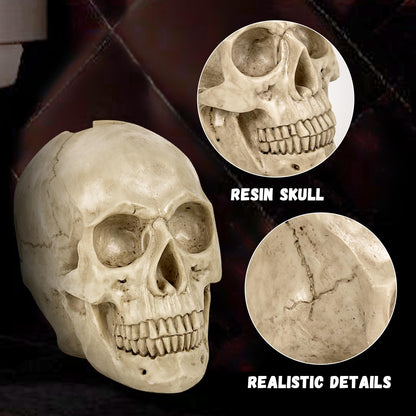 Toilet Brush and Holder Set for Bathroom,Skullduggery Skeleton Gothic Bathroom Decor Toilet Bowl Brush Set,Space Saving for Storage, Drip-Proof, Easy to Assemble, Deep Cleaning