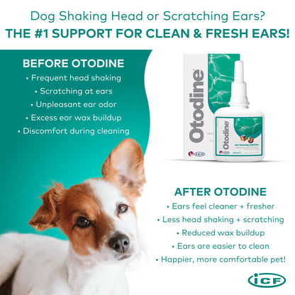 ICF Otodine | Cat & Dog Ear Cleaner Solution | Dog Ear Drops to Stop Wax Build Up, Head Shaking, Discomfort, Ear Odour & Scratching | 100ml