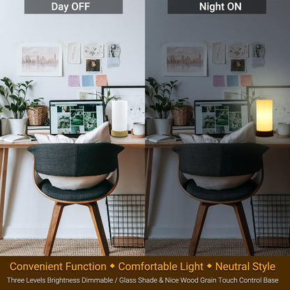 HSLighting Bedside Lamps, Touch Control Glass Table Lamp 3-Way Dimmable Wooden Grained Base Small Touch Lamps Bedside Minimalist Nightstand for Living Room Bedroom Children Room Decor with LED Bulb