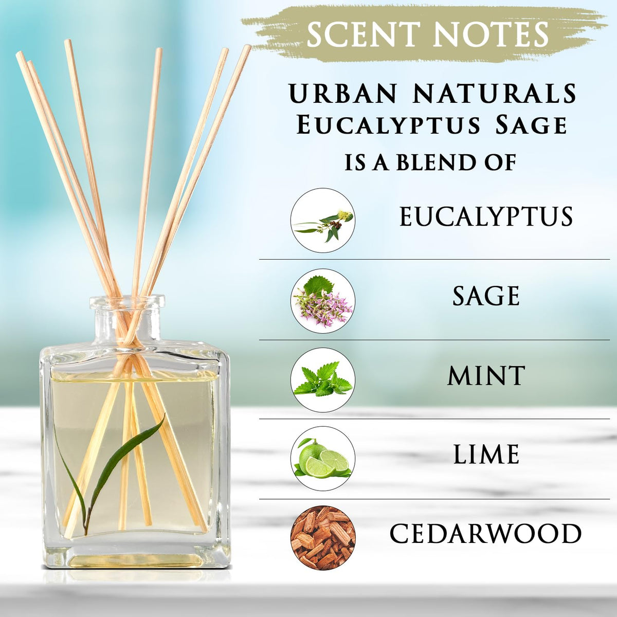 Urban Naturals Eucalyptus Sage Reed Diffuser Oil Gift Set – Eucalyptus, Sage, Mint, Lime & Cedarwood Essential Oils– Relaxing Scent – Sleek Rectangular Refillable Glass Bottle – Made in the USA