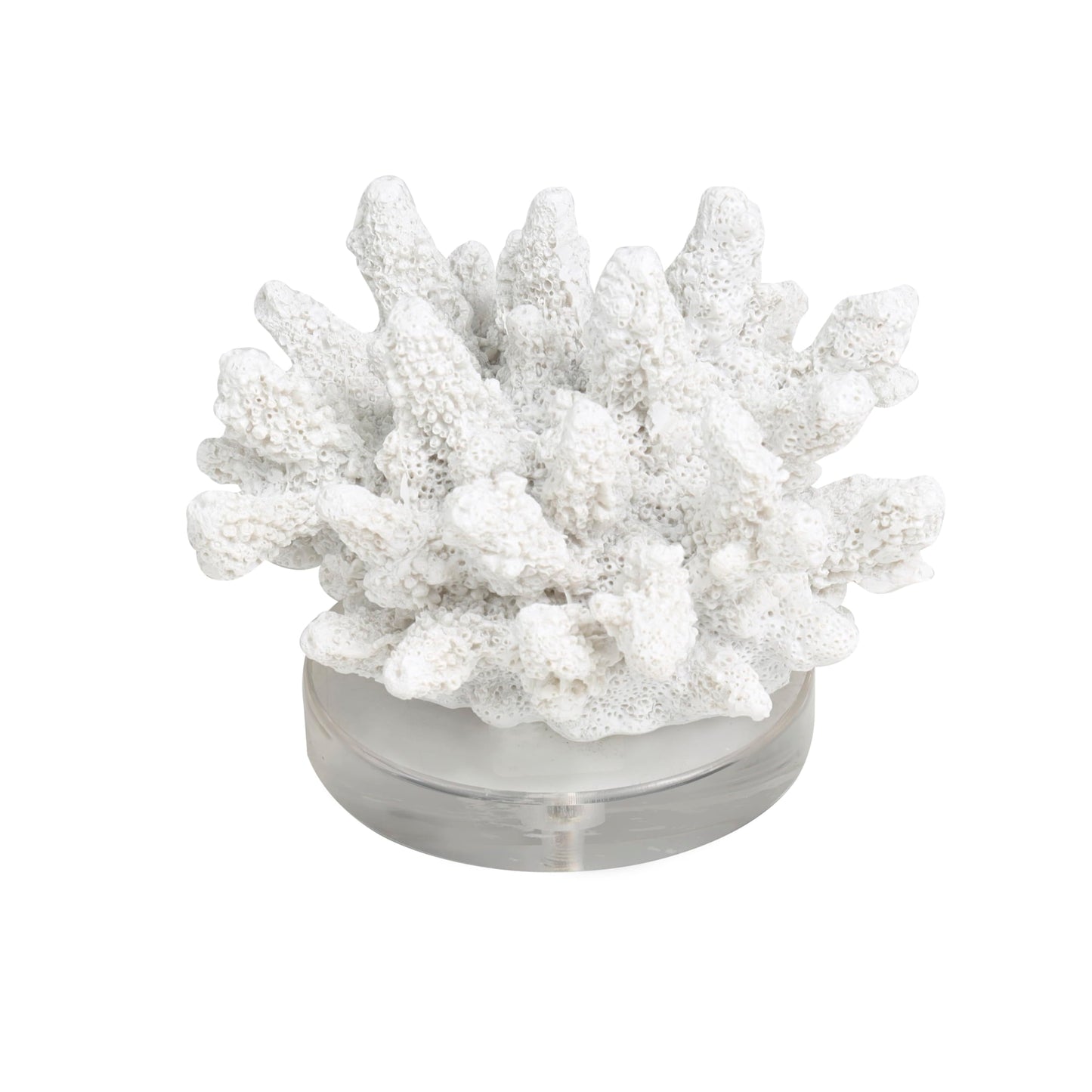 Deco 79 Polystone Coral Decorative Sculpture Small Textured Home Decor Statue with Clear Acrylic Base, Accent Figurine 6" x 5" x 4", White