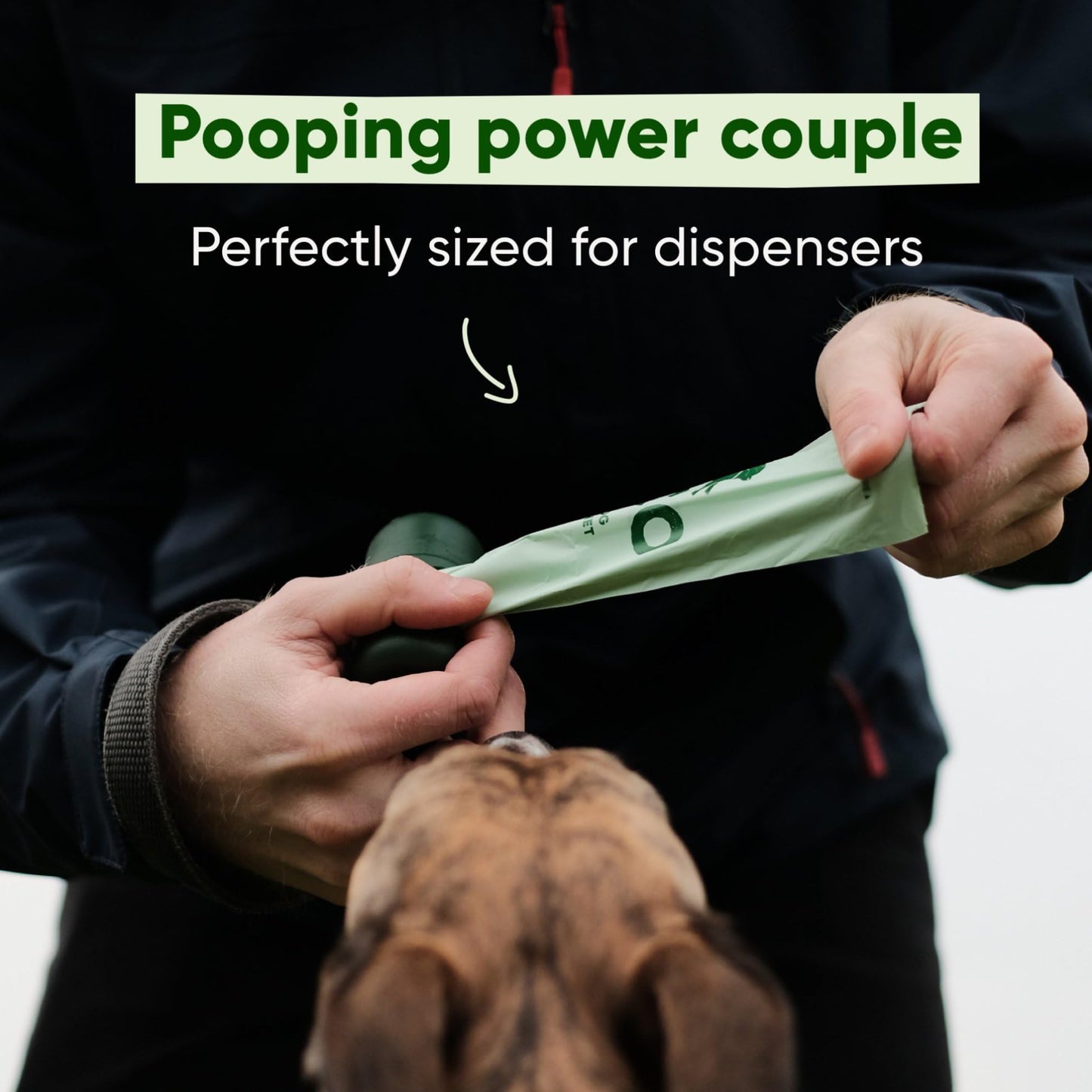 Beco Dog Poop Bags Rolls - Strong & Large - 120 Bags (8 Rolls of 15) Unscented, Dispenser Compatible for Dog Waste