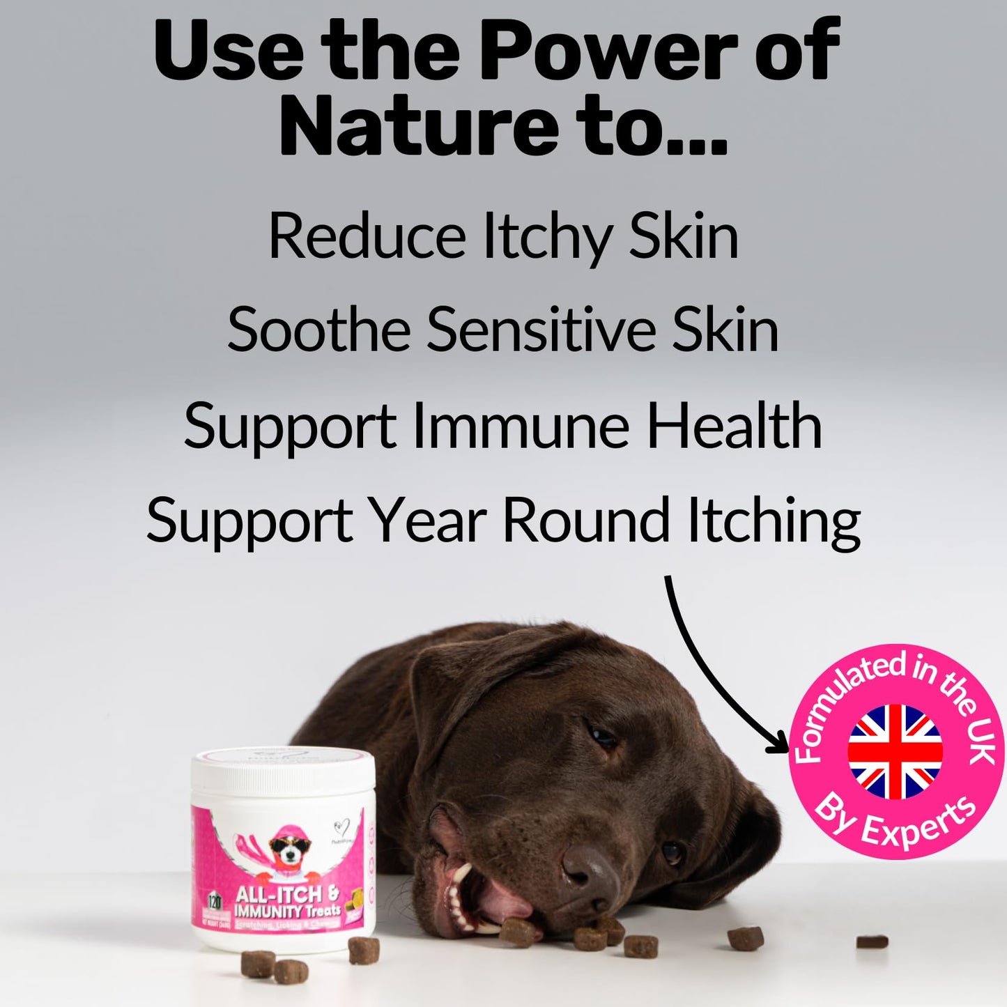 NutriPaw All-Itch Immunity Treats For Dogs - Soothe Itchy Paws, Eyes, Ears, Skin - Stop Itching, Licking, Scratching - Perfect for Small, Medium & Large Dogs - Supports Seasonal Itching