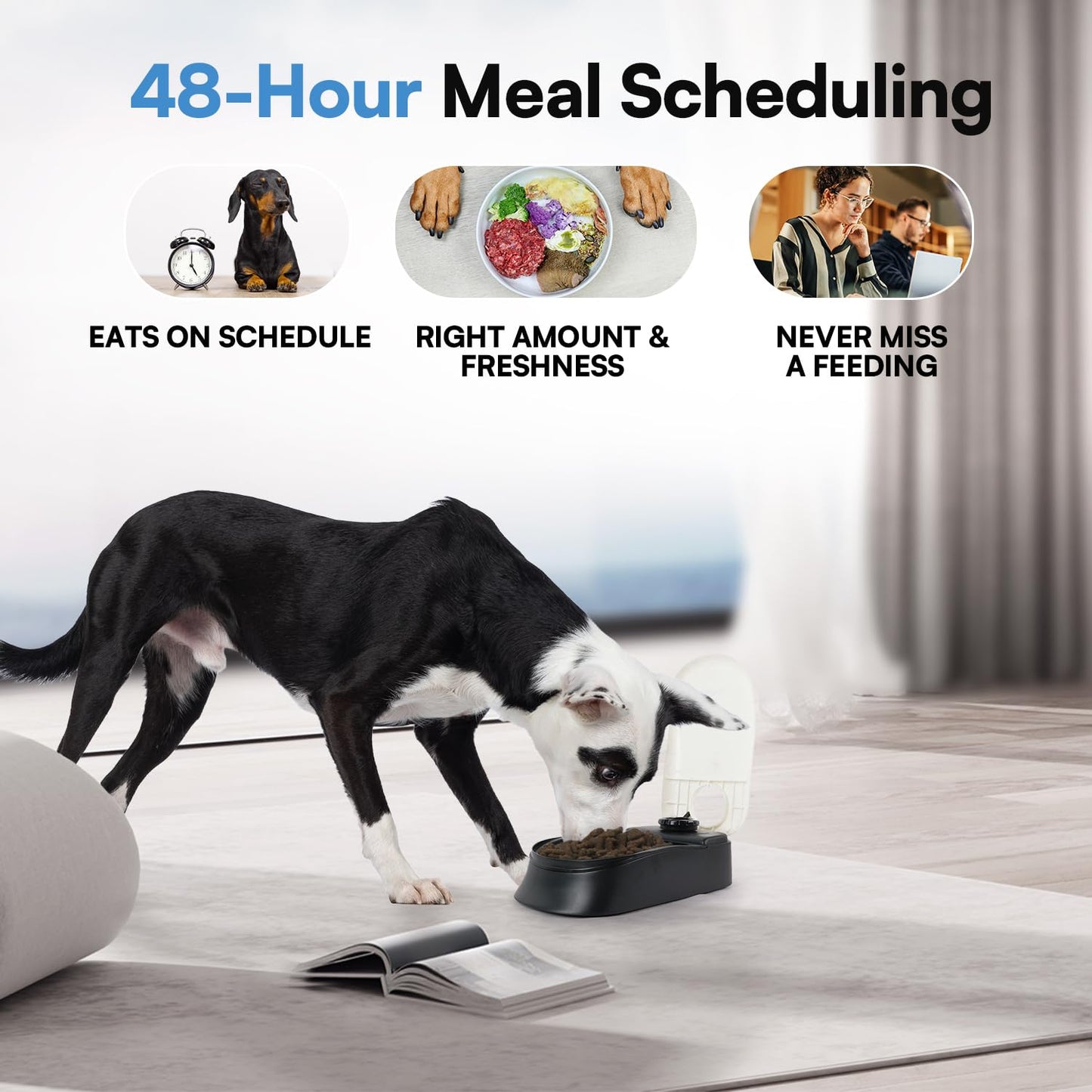 Pawise Automatic Cat & Dog Feeder with Ice Pack - 1-Meal Wet & Dry Food Dispenser, 48-Hour Timer, Dishwasher Safe, Perfect for Pets