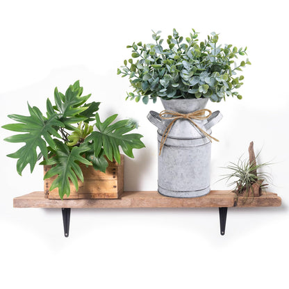 Winlyn Farmhouse Galvanized Metal Milk Can with Artificial Eucalyptus Greenery Arrangement Fake Plants Farmhouse Centerpieces 11.8" Tall for Rustic Country Wedding Home Table Tiered Tray Shelf Décor