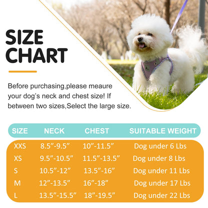 TomteNisse Dog Harness and Leash Set - No Pull Soft Breathable Small Dog Harness, Adjustable Reflective Step in Vest for Puppy, Kitten, Cats