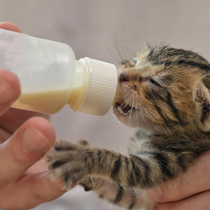 Aidiyapet Kitten Bottles, Pet Feeding Syringe Nipple Bottles, Puppy Kitten Whelping Kit, for Puppy Squirrels Rabbit and Other Newborn Pets (18Pack)
