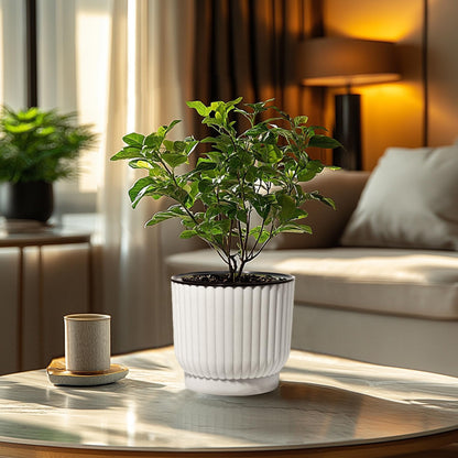 T4U 6 Inch Self Watering Pots for Indoor Plants, 6 Pack White Plastic Flower Pots for All House Plants, Flowers, African Violets
