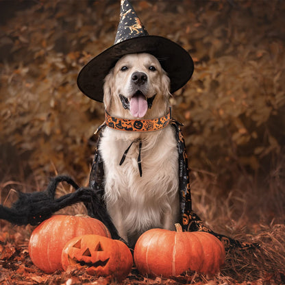 TDTOK Halloween Dog Collar, Soft Comfy Halloween Themed Pet Collar with Spooky Ghost Skull Bat Cat Witch Tree Hat Pumpkin Pattern for Small Medium Large Dogs (1 PCS)