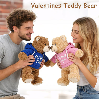 Hideekoog 2 Pcs Classic Teddy Bears Plush Dolls 8.7 Inch Stuffed Bear Animal Set Hoodie-Wearing Bear with Get Well Soon Valentine’s Cozy Bear for Girlfriend Girls Kids Baby Gift (Pink + Blue)