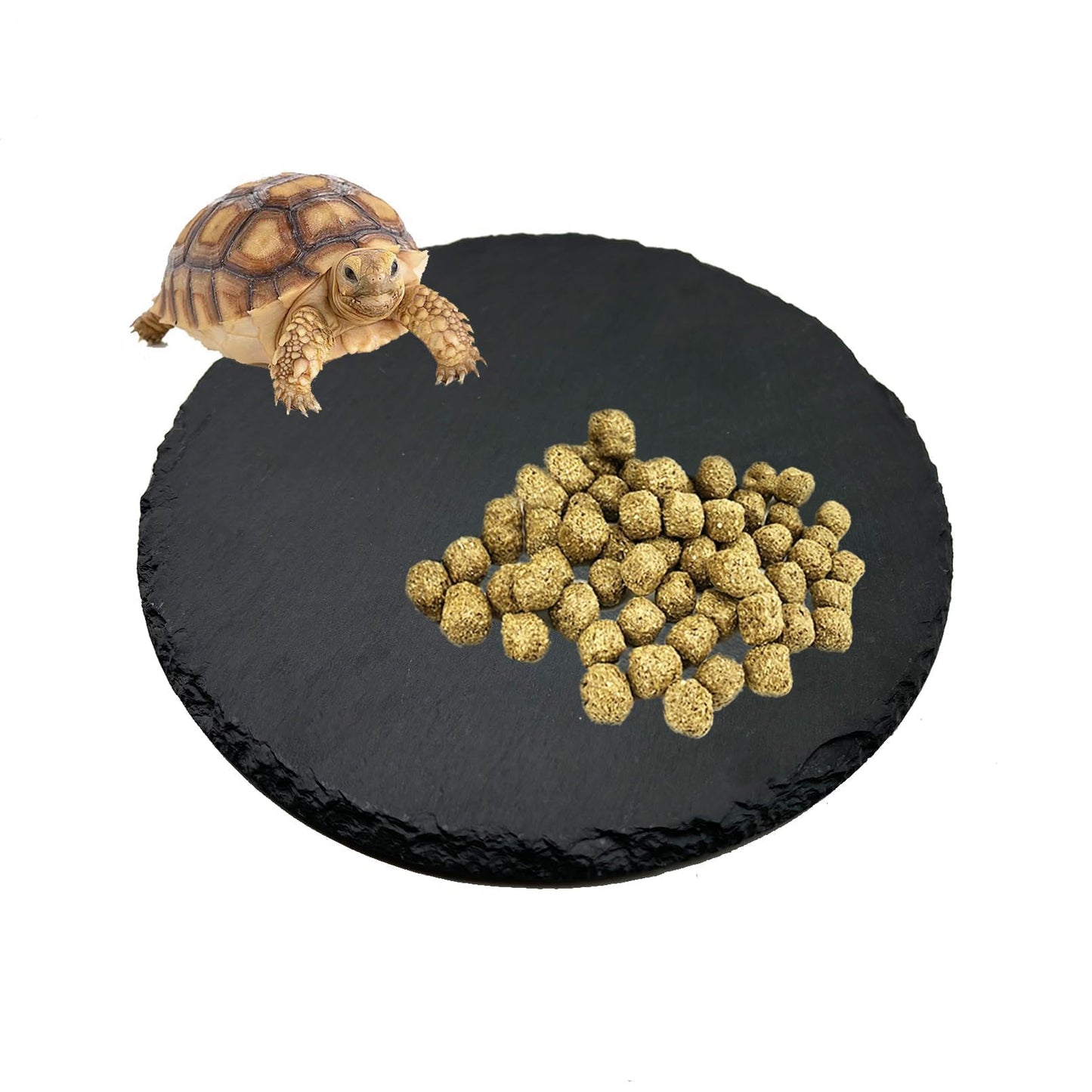 Tfwadmx Reptile Basking Platform,7.8IN Tortoise Rock Slate Plate Feeding Food Bowl Dish Turtle Bathing Resting Terrace for Lizard Bearded Dragon Chameleon Gecko Snake Frog Newt