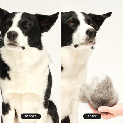 Tangle Teezer | Pet Teezer | Dual-Tier De-Shedding & Grooming Brush for Dogs | Gentle Polymer Teeth | Ideal for Double-Coated Breeds | Ergonomic & Easy Clean | Purple & Grey
