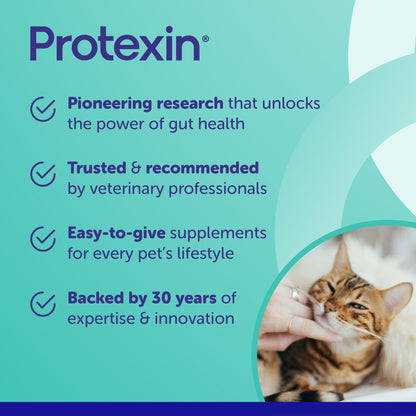 Protexin Pro-Kolin Digestive Support Paste for Cats & Dogs to Firm Poop, 30ml Syringe, Beef Flavour