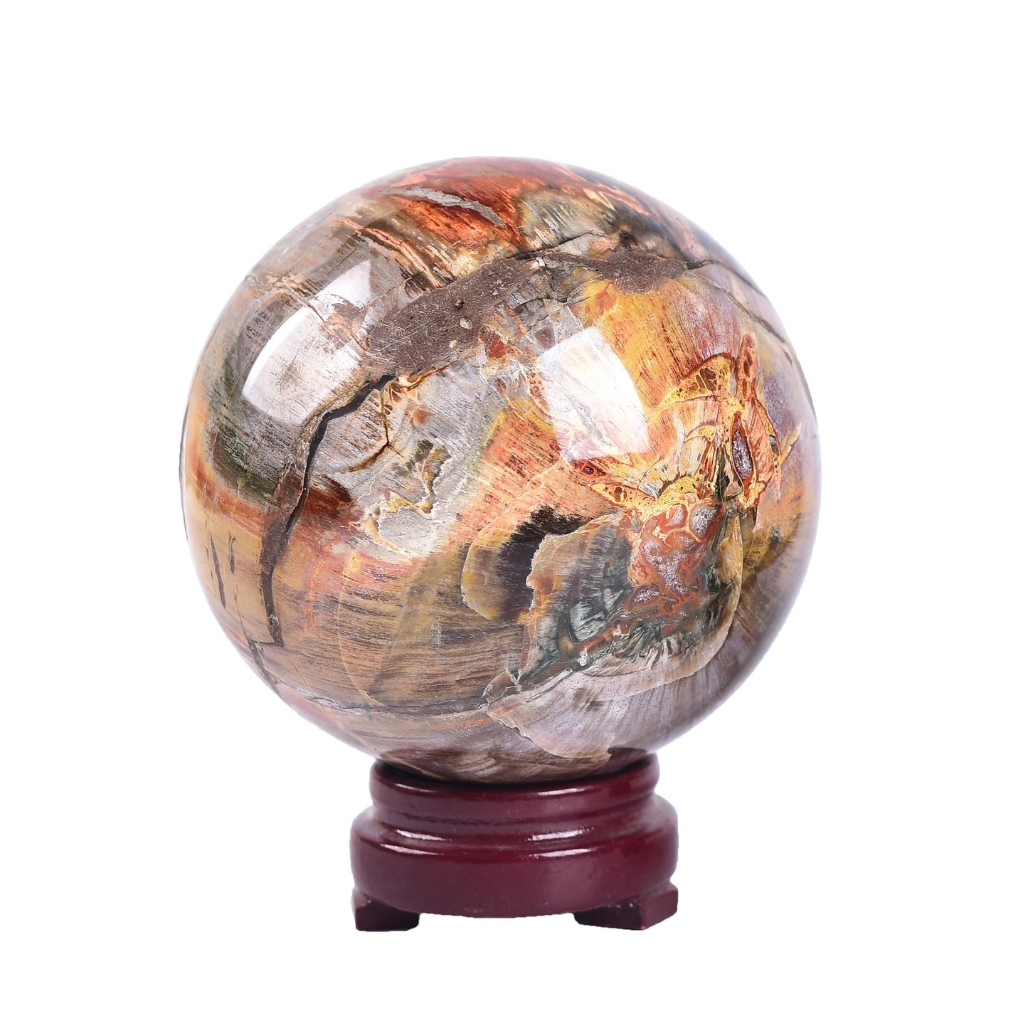 AMOYSTONE Crystal Sphere Heavy Petrified Wood Orb for Living Room Decor