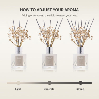 Airkeep Reed Diffuser Set,3.38 fl oz (100 ml) - Ocean Mist&Sea Salt Oil Diffusers with 8 Reed Sticks,Home Fragrance Reed Diffuser for Bathroom Shelf Decor