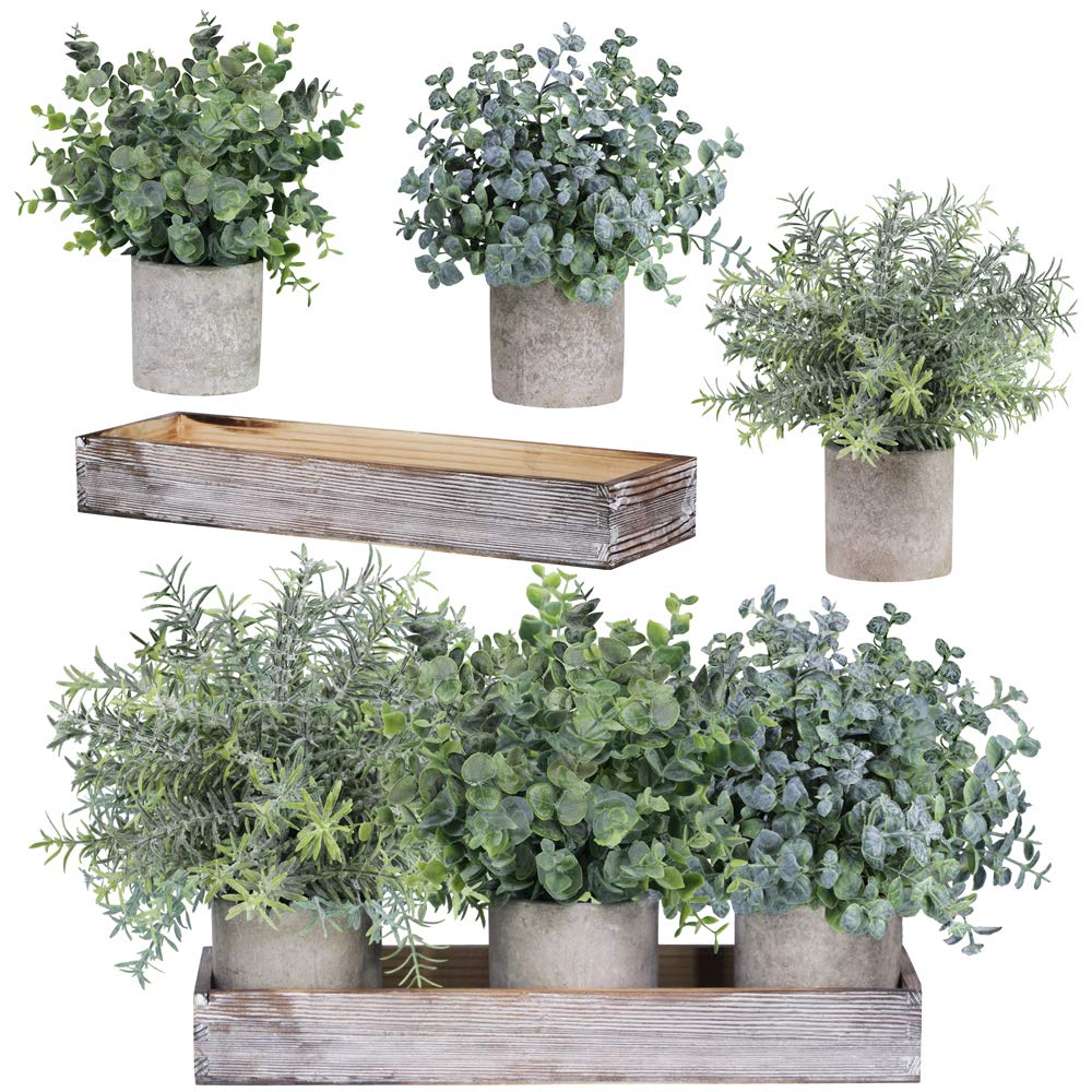 Winlyn Set of 3 Mini Potted Artificial Eucalyptus Plants Faux Rosemary Plant Assortment with Wood Planter Box for Indoor Office Desk Apartment Wedding Tabletop Greenery Decorations 8.7" Tall