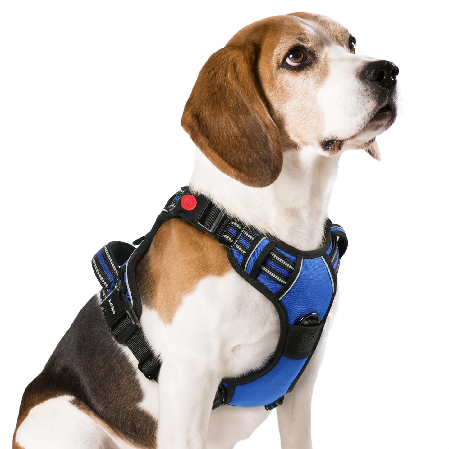 rabbitgoo Dog Harness Medium with Neck Release Buckle, Adjustable No Pull Harness with Front Back Clips, Soft Padded with Easy Control Handle, Reflective Pet Walking Vest, Blue, M