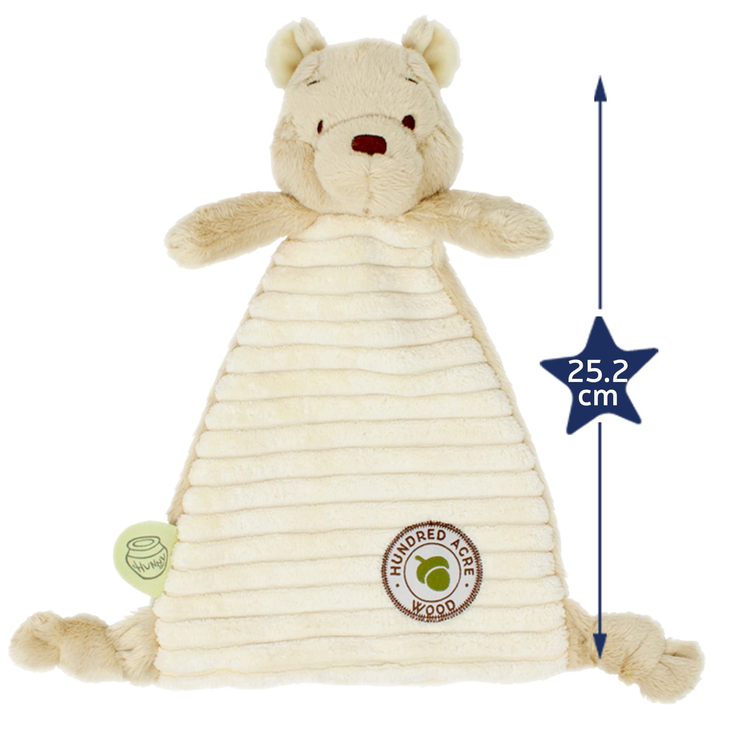 WINNIE THE POOH Rainbow Designs - Hundred Acre Wood - Baby Comfort Blanket, 200 g,RBD-TOY44