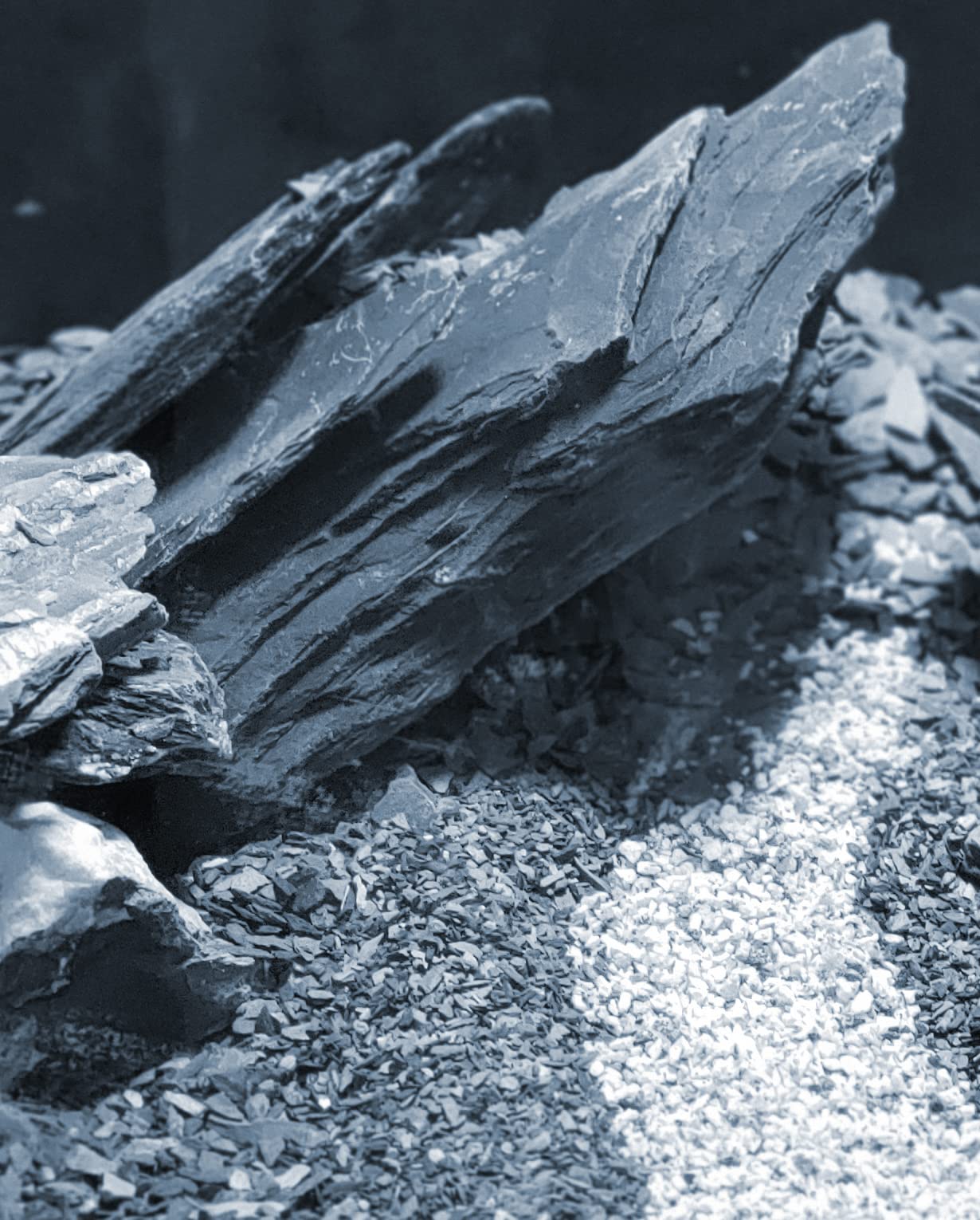 Natural Slate Stone 5 to 7 Inches - USA Sourced and Packaged for Aquascaping Aquariums, Terrariums, Paludariums, Reptile Enclosures, and Gardens (10lbs)