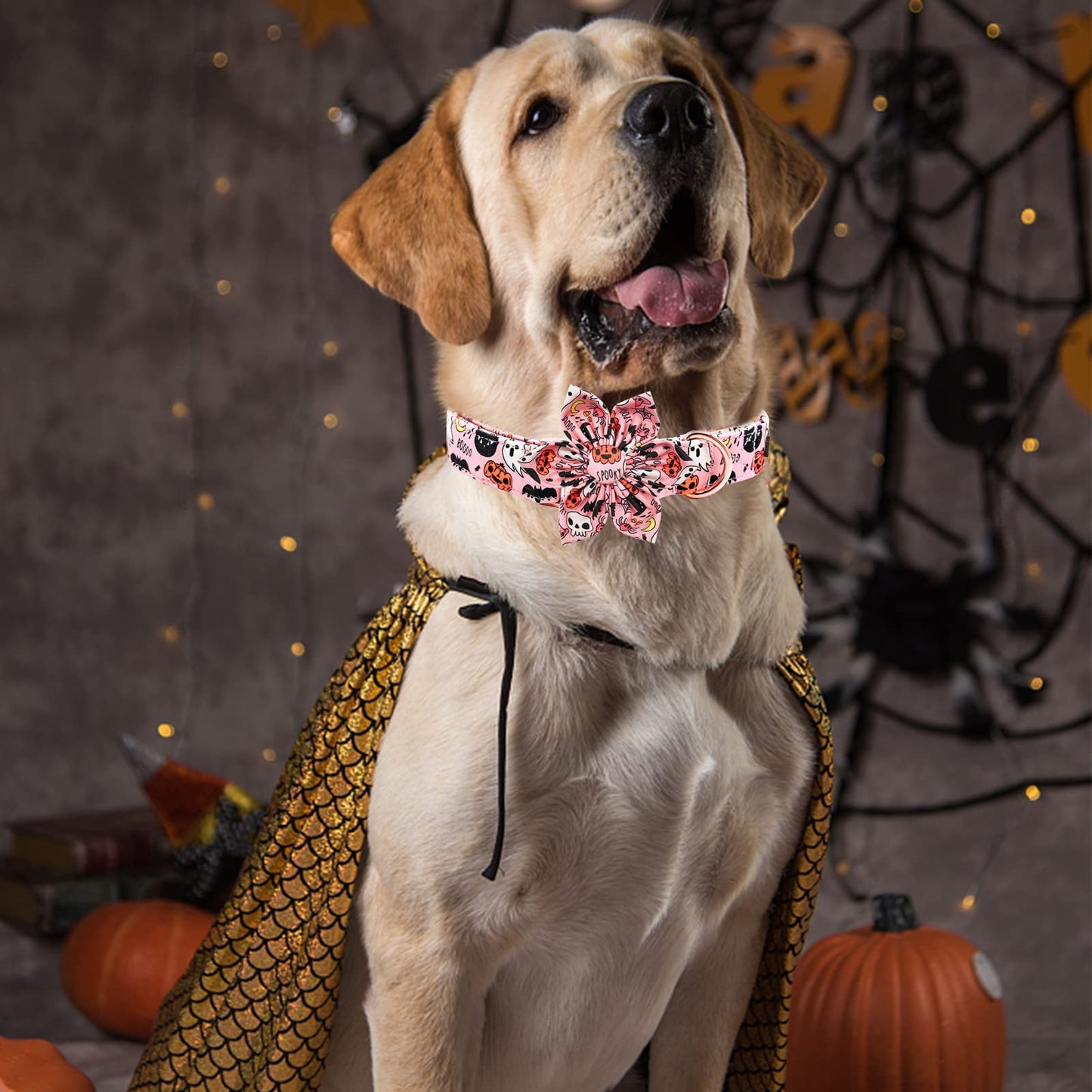 Elegant little tail Dog Collar with Flower, Fall Dog Collar Halloween Pumpkin Flower Collar Dog Girl Pet Collar Dog Collars for Large Dog