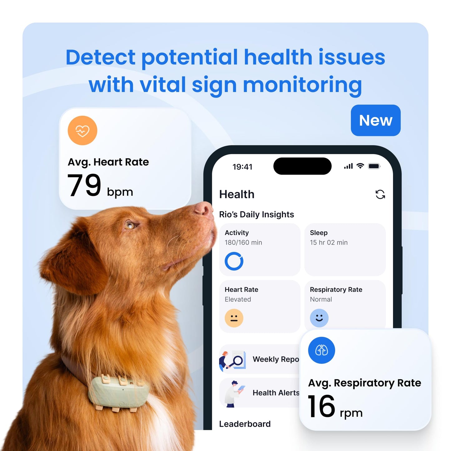 Tractive XL Smart Dog GPS Tracker | Live Pet Tracker with Virtual Fence | Vital Signs Monitoring of Heart & Respiratory Rate | Up to 1-Month Battery Life | Dog Collar Attachment (Green)