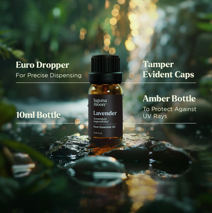 Lagunamoon Essential Oils Christmas Set - 6 Oils for Diffusers, Home Care, Candle Making Scents, Fragrance, Aromatherapy, Humidifiers, Gifts - Peppermint, Tea Tree, Lavender, Eucalyptus, Orange (10mL)
