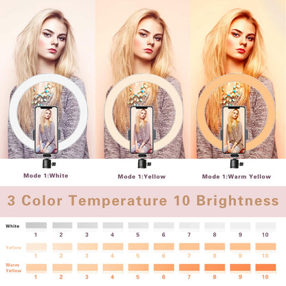LED Dimmable Desk Makeup Ring Light 10" with Tripod Stand & Phone Holder for Live Streaming & YouTube Video,Photography, Shooting with 3 Light Modes & 10 Brightness Level