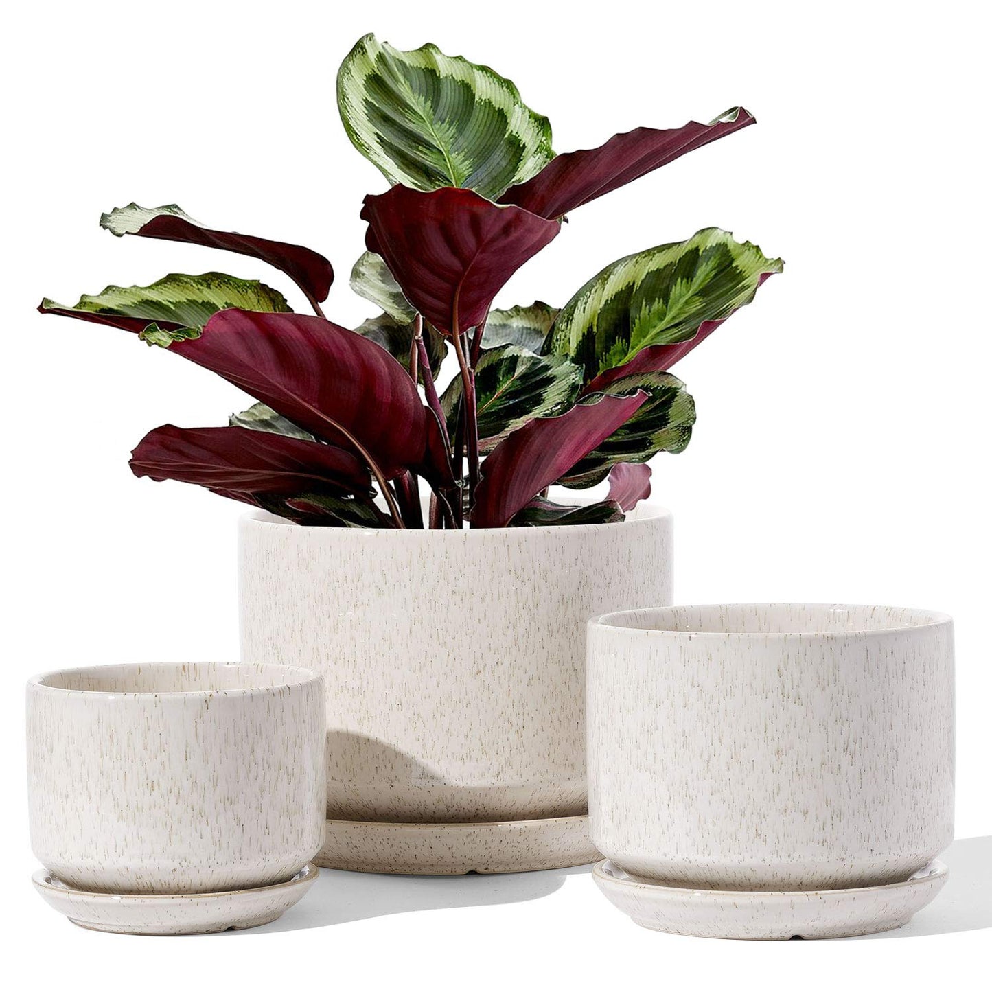 LE TAUCI Ceramic Plant Pots, 11+13+17 cm Planters, Set of 3 Planters with Drainage Hole and Saucer, Indoor Plant Pot with Hole Mesh Pad, Gifts for Mom, Reactive Glaze Beige