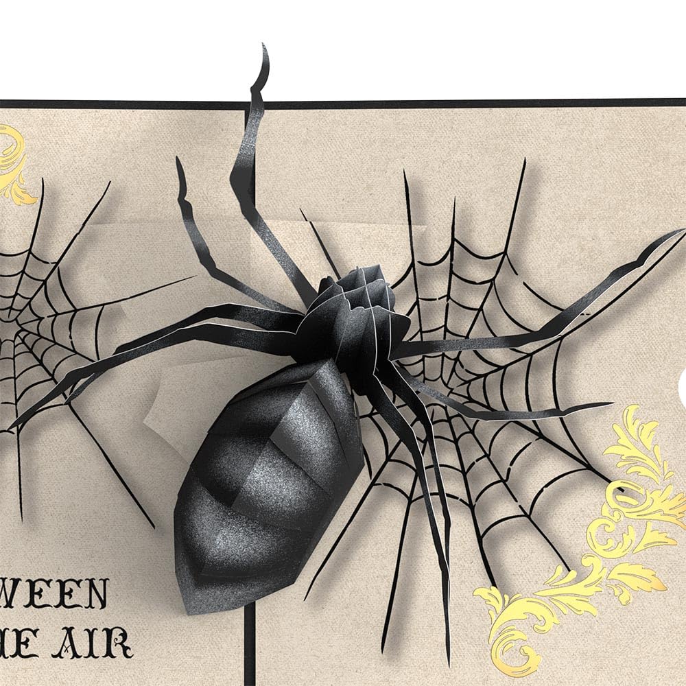 Lovepop Holidays Pop-Up Card for Her and Him - 3D Halloween Greeting Cards for Boys, Girls, Men, Women - Spider 5" x 7" Beware - Blank Note Card & Envelope Included